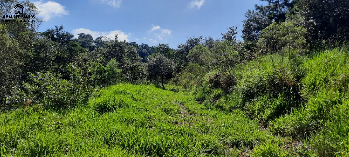 Sítio em , São Roque - Foto 10